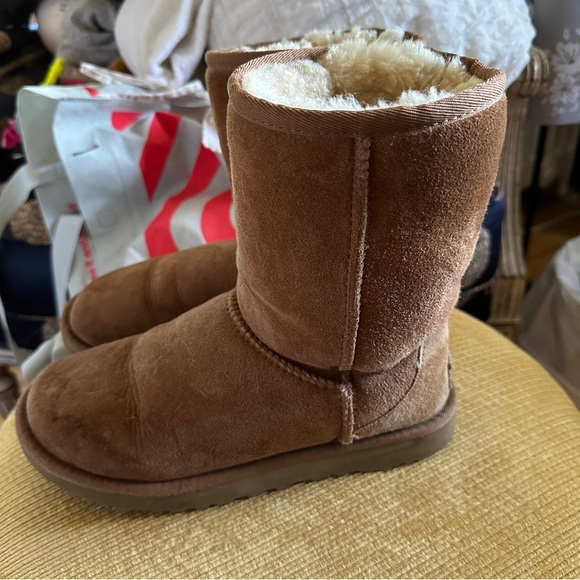 Short Uggs in Chestnut - Picture 2 of 3